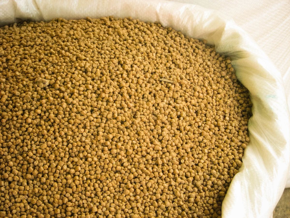 Fish Food as Pellets